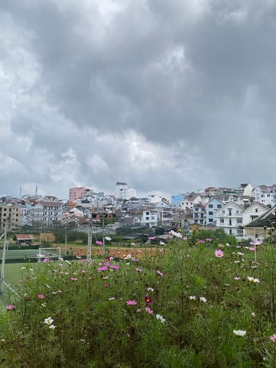 The image depicts a hillside urban landscape in Lâm Viên - Đà Lạt, Vietnam, characterized by a dense collection of residential buildings of varying architectural styles and heights, many with pitched roofs. The buildings are predominantly white, with accents of blue, pink, and light brown. In the foreground, a field of cosmos flowers, in shades of white, pink, and dark pink, is in bloom. Behind the flowers, a green sports field with white markings and a goal is visible, suggesting a recreational area within the city. The sky is overcast with heavy gray clouds, indicating a cloudy or potentially rainy day. Utility poles with visible wires are interspersed throughout the scene, highlighting the urban infrastructure. The overall impression is one of a residential area nestled on a slope, with natural elements like flowers and a sports field integrated into the urban fabric.