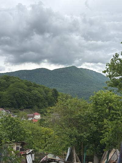 The image depicts a landscape scene in Galitsyno, Russia, featuring a lush green mountain under a cloudy sky. The mountain is prominently visible, covered in dense forestation. At the foot of the mountain, a residential area is interspersed with trees, with houses exhibiting red and white roofs. In the foreground, there are signs of human activity and structures, including some outdoor storage with various items. The sky is overcast, suggesting potentially inclement weather.