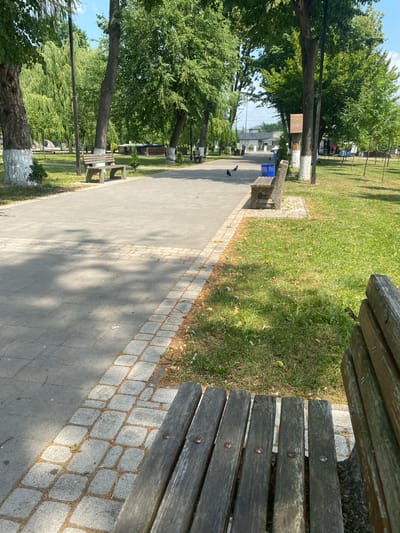 The image depicts a park scene in Zastavna, Ukraine, on a sunny day. A paved pathway, lined with cobblestones and bordered by grass, leads into the distance. Several wooden park benches are visible along the path, with one in the foreground prominently featuring weathered wooden planks. Trees with green foliage form a canopy overhead, casting dappled shadows on the ground. Two pigeons are present on the pathway, and a blue trash can is situated next to a bench. In the background, a street with buildings and some parked vehicles can be seen, suggesting the park is located within a populated area. The overall impression is one of a tranquil, urban green space.