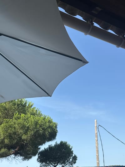 The image captures a bright, sunny day in Sant Feliu de Guíxols, Spain. The foreground is dominated by a large, white umbrella tilted to the left, its fabric taut and casting a shadow. Beneath the umbrella, lush green pine trees are visible, their needles dense and vibrant against the clear blue sky. In the upper right quadrant, a section of a building's roof structure with dark wooden beams and a beige downspout is attached to the eaves. A weathered wooden pole with electrical wires strung between it and an unseen point stands to the right, also set against the expansive blue sky. The overall scene suggests an outdoor setting, possibly a patio or garden area, enjoying a clear day.