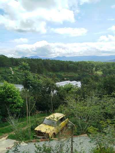 The image depicts an outdoor scene with a dilapidated yellow car as the foreground subject. The car is positioned on a grassy area, partially obscured by surrounding vegetation. It appears to be an older model, with visible rust and wear. Behind the car, a dense forest extends into the distance, with rolling hills and mountains forming the backdrop. The sky is partly cloudy, with a mix of white and gray clouds against a light blue sky. Several white structures, possibly greenhouses or industrial buildings, are visible amongst the trees in the middle ground. The overall environment suggests a rural or semi-rural setting, possibly a farm or a natural reserve. The scene appears to be located in Trường An, Vietnam, given the context.