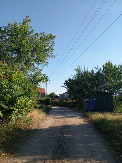 The image depicts a rural dirt road winding through a sunlit landscape under a clear blue sky. Tall trees with lush green foliage line the sides of the road, with one large tree dominating the left foreground. In the distance, several houses with red-tiled roofs are visible, suggesting a residential area. A green utility structure, possibly a shed or a shelter for trash bins, stands on the right side of the road, with blue bins visible inside. Overhead, power lines stretch across the sky. The scene is illuminated by warm sunlight, casting shadows across the road and indicating it is likely late afternoon or early morning. The overall atmosphere is peaceful and serene, evoking a sense of rural tranquility. The location is identified as Sozonivka, Ukraine. No people are visible in the image.