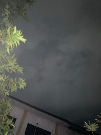 In Banjarmasin, Indonesia, under a dark, overcast sky, a building with light-colored walls and dark-trimmed windows is partially visible. Overhanging tree branches with light green leaves frame the scene from the left and the lower right. The lighting suggests it is night or very early morning, with artificial light illuminating the foliage from an unseen source. The overall atmosphere is subdued and tranquil.