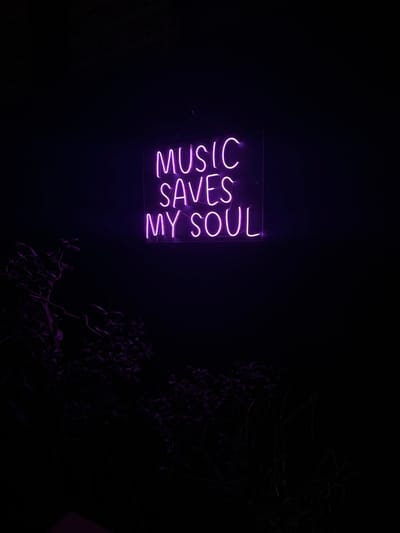 A neon sign, emitting bright purple light, displays the text "MUSIC SAVES MY SOUL" across three lines. The sign is mounted on a transparent panel, suspended by thin wires from an unseen support against a dark wall. This glowing sign serves as the primary light source for the scene. In the lower left and central-bottom portions of the frame, dark foliage and branches are visible, subtly illuminated by the sign's purple glow. The overall environment is dark, suggesting a nighttime or dimly lit indoor setting. No individuals or discernable actions are present. This scene is located in San Andrés Cholula, Mexico.