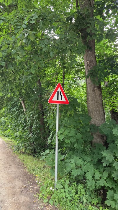 In Cekule, Latvia, a traffic sign indicating a narrowing of the road is posted on a metal pole next to a dirt path. The sign is triangular with a red border and a white interior, featuring a black symbol depicting two lines converging from the top. The sign is surrounded by lush green trees and foliage, with dense leaves covering the branches and undergrowth. The path is unpaved, suggesting a rural or natural setting. The lighting indicates it is daytime, with sunlight filtering through the leaves. There are no people or animals visible in the image.