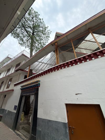 The image shows the entrance to the Institute of Buddhist Dialectics in Dharamshala, India. The entrance is an open doorway with metal gates, leading to a stone staircase partially obscured by a large tree trunk. The building is white with red trim and decorative elements. Above the entrance, a sign reads "INSTITUTE OF BUDDHIST DIALECTICS" in English, with Tibetan script above it. The sky is overcast, and a large tree with dense foliage grows through the structure. To the right of the entrance is a closed brown door with a padlock.