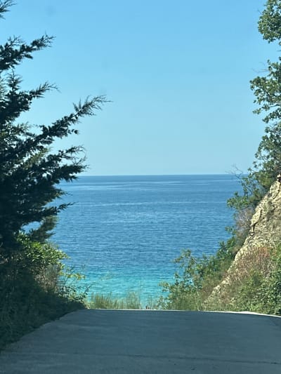 The image captures a serene natural scene, likely a coastal area. The main subject is a vast expanse of calm, blue water, reflecting the clear sky. The water transitions from a deeper blue further out to a lighter, turquoise hue closer to the shore, suggesting shallow depths or the presence of sand or vegetation beneath the surface.
Framing the water are elements of lush greenery and rocky terrain. On the top and left side of the image, leafy branches from trees with light green foliage overhang, creating a natural canopy. The right side of the image is dominated by a textured, light gray surface, possibly a wall or a paved area, which sharply contrasts with the organic elements. Below this, more dense green vegetation can be seen, leading down towards the water's edge.
The lighting suggests it is daytime, with a bright, clear sky. There are no people or specific objects clearly visible. The overall mood is peaceful and tranquil, emphasizing the beauty of the natural landscape. The image appears to be taken from a slightly elevated position, looking out over the water. The composition, with the natural elements framing the water and the stark contrast of the man-made surface, gives a sense of a secluded or protected viewpoint. There is no visible text in the image.