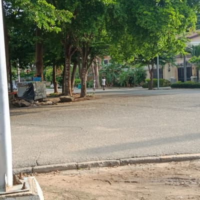 In Gwarinpa, Nigeria, a paved road is bordered by a sidewalk and lined with trees. Two individuals are walking on the road. One tree trunk has white writing on it that appears to spell out "NO DUSTBIN." Another tree trunk has white writing that is partially obscured but seems to read "GMINHANA." In the background, buildings and a fence are visible. A makeshift structure is situated near the trees, covered with a black tarp. Stones and debris are scattered around the area. The lighting suggests it is daytime.