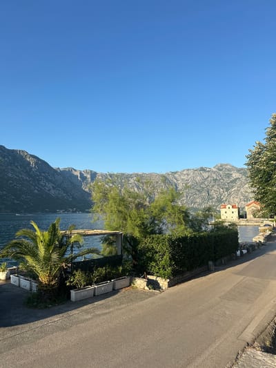 This image depicts a tranquil coastal scene in Prčanj, Montenegro, under a clear, bright blue sky. Dominating the background are majestic, rugged mountains, appearing dark green and grey due to the shadows and vegetation, framing a large body of deep blue water, likely the Bay of Kotor. Across the bay, a small cluster of buildings is visible at the base of the mountains, and a single motorboat leaves a faint wake in the distance.
In the midground, on the right side of the frame, two distinct buildings with prominent orange-red tiled roofs stand near the water's edge, partially obscured by a large, flowering tree with white blossoms on the far right. A dense green hedge runs along a low stone wall, separating the water from an asphalt road. Another lush green tree with fine leaves stands closer to the center, partially obscuring the water.
The foreground features an asphalt road, illuminated by direct sunlight, with distinct shadows cast towards the viewer, suggesting either early morning or late afternoon. On the left side of the road, a robust palm tree with vibrant green fronds stands within a group of white concrete planters containing various smaller green plants. An angular, light-colored structure, possibly the frame of an awning or pergola, is visible above the palm tree and extends over the water. No individuals are visible in the scene.