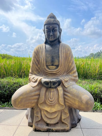A Buddha statue sits outdoors in Singakerta, Indonesia. The statue is of a sitting Buddha in a meditative pose, colored in shades of gold and dark gray. The Buddha's eyes are closed and its hands are resting in its lap, holding each other. Behind the statue is a rice paddy field filled with green and gold rice plants. The sky is blue with scattered white clouds. The statue sits on a tiled surface bordered by grass.