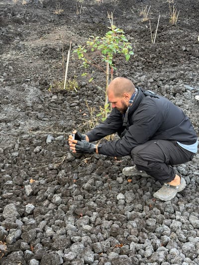 A man is crouching on a rocky, volcanic terrain in Kintamani, Indonesia, examining something small in his gloved hands. He is wearing a black jacket, black cargo pants, and grey Croc-style shoes. In front of him, a small tree with green leaves is planted, supported by two white stakes. The ground is covered in dark grey volcanic rocks of various sizes, with a few dry twigs and leaves scattered amongst them. The background shows more of the rugged, rocky landscape with sparse vegetation and more supporting stakes.