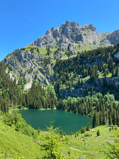 An aerial view depicts a serene mountain landscape under a clear blue sky in Axalp, Switzerland. A pristine, dark green lake is nestled in a valley, surrounded by a dense forest of evergreen trees. The slopes of the surrounding mountains are characterized by rocky outcrops and patches of lush green grass. A faint white contrail from an aircraft is visible in the upper left quadrant of the sky. In the foreground, a grassy slope leads down towards the lake, with a few small evergreen saplings and a distant group of people near the lake shore. The overall scene conveys a sense of natural beauty and tranquility.