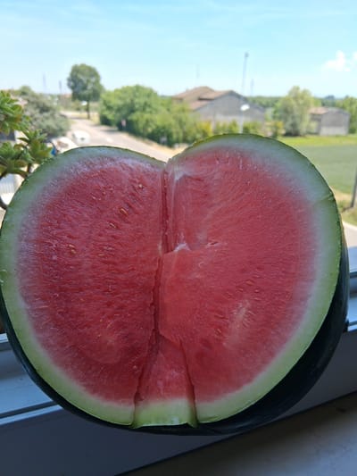 A close-up, eye-level, medium shot features a halved watermelon placed on a windowsill, with the flesh of the fruit filling the foreground and middle ground. The watermelon is cut lengthwise, revealing its vibrant red, juicy interior dotted with small, dark seeds. The rind is dark green with a lighter green stripe. In the background, the scene transitions to an outdoor view. A blurry landscape is visible, showing a road, trees, buildings, and a bright blue sky. The location is identified as Colorno, Italy, suggesting a domestic or outdoor setting within the city. The overall impression is one of summer freshness and natural abundance, with the watermelon serving as the focal point against a softly rendered backdrop.