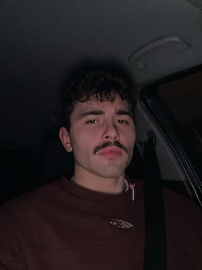 A person lies sideways in a car, wearing a brown sweater and seatbelt. The person has dark curly hair and a drawn-on mustache. The ceiling of the car and a handle are visible. The lighting is dark.