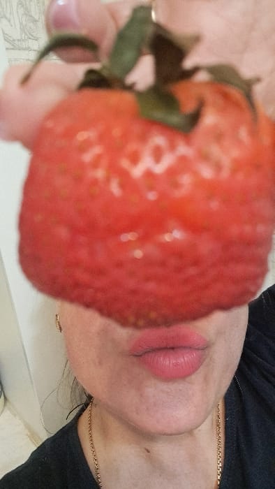 The image presents a close-up, eye-level view of an individual situated in Elektrostal, Russia. A large, ripe red strawberry is centrally positioned, held by a hand with light pink nail polish, obscuring the upper half of the subject's face. The strawberry displays green sepals and discernible achenes across its surface. Below the strawberry, the subject's lower face is visible, featuring light skin, lips adorned with pink lipstick and pursed in a slight pucker, and the chin. A gold-colored chain necklace is worn around the neck, and a gold-colored earring is partially visible on the left earlobe. The individual is dressed in a dark-colored garment. The background is out of focus, showing a light-colored wall with faint patterns to the left of the subject.