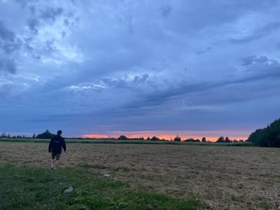 A lone figure, seen from behind, walks across a harvested field towards a vibrant sunset. The sky is filled with dramatic, textured clouds in shades of blue, purple, and orange. In the distance, a line of trees and power lines can be seen against the colorful horizon. The field is mostly bare earth with patches of dry grass and some green vegetation in the foreground. The scene suggests a peaceful, rural setting. This location is outside the city of Pushkin, Russia, characterized by its agricultural landscape under a dramatic sky.