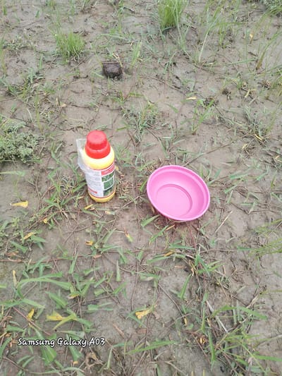 A yellow bottle with a red cap, a plastic bag, and a pink bowl are situated on muddy ground interspersed with green grass and some brown debris. The bottle, labeled "GLYPHosate," has a white label with text and an image of grass. A plastic bag is partially wrapped around the neck of the bottle. The pink bowl, a shallow dish, is to the right of the bottle. The ground is uneven and appears wet, with blades of grass growing sparsely. In the upper left corner of the image, there is a small cluster of green leafy plants. The background shows more of the muddy ground and vegetation. The bottom left corner of the image contains a watermark reading "Samsung Galaxy A03". The scene appears to be outdoors, possibly in a rural or semi-rural setting. There is no indication of human presence or any specific location within Angwan Hausawa, Nigeria.