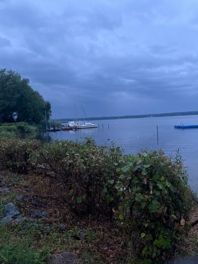 The image depicts a serene view of the Schwielowsee lake in Germany under a cloudy sky. The foreground is dominated by lush green bushes and dry vegetation, with some scattered rocks and grass. The lake itself is calm, reflecting the muted tones of the sky. In the mid-ground, several sailboats are docked near the shore, their masts reaching upwards. Further out on the water, a bright blue floating platform with a ladder is visible. The horizon is lined with a distant shore, characterized by trees and what appear to be wind turbines. The overall atmosphere is tranquil, with a hint of overcast weather.