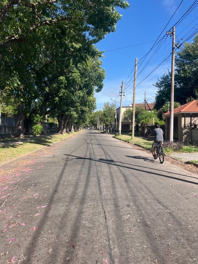 A street scene on a sunny day. Utility poles line the left side of the street alongside trees. A cyclist is riding down the street on the right. The road is gray and cracked, with pink petals scattered on the surface. Houses are visible behind the trees on the right side of the street. The sky is blue with a few wispy clouds.