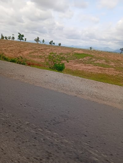 This media file depicts a rural landscape in Jauro Sent, Nigeria. The scene features a vast expanse of brown, cultivated land that appears to be recently tilled or fallow, with patches of green grass growing in some areas. The land slopes gently upwards towards a distant line of hazy blue mountains under a cloudy sky. A variety of trees, mostly slender and green, are scattered across the hillside, adding a touch of life to the earthy tones of the terrain. The foreground is dominated by a road, with a distinct two-toned surface suggesting a transition from a rougher, lighter-colored shoulder to a smoother, darker asphalt lane. The overall impression is one of open space and agricultural activity under a somewhat overcast sky, possibly in the late morning or afternoon. There is no text visible in the image.