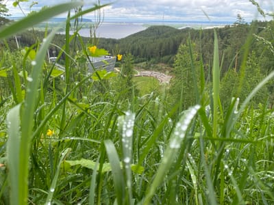 The image shows a view of the city of Прикамский, Russia, seen through tall grass with water droplets. A building and an outdoor amphitheater are visible in the middle ground, surrounded by a dense forest. In the background, a large body of water and a power line tower can be seen under a cloudy sky. The focus is on the foreground grass, which is wet and dominates the lower half of the frame.