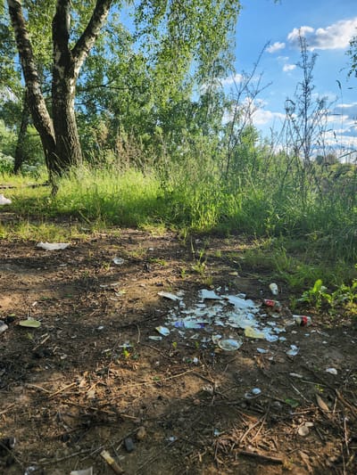 The image depicts a natural setting marred by litter. The foreground is a dirt path with sparse vegetation, strewn with broken glass bottles, cans, and plastic debris. Among the litter, a red and white can with Cyrillic writing is visible, along with fragments of clear and colored glass. A white plastic bag is also present near the grass.
To the left of the path, lush green grass and various plants grow, bordering a wooded area with leafy trees. The trees in the immediate left foreground appear to be birch trees, with their characteristic white bark and dark markings. In the background, more trees and foliage create a dense green canopy.
The sky above is a clear blue, dotted with fluffy white clouds. The lighting suggests it is daytime, with sunlight casting shadows on the ground, highlighting the textures of the dirt and debris.
The scene conveys a sense of neglect and environmental pollution, contrasting the natural beauty of the landscape with the unsightly presence of trash. The location is identified as Yudino, Russia, suggesting a natural area near a populated region that has become a dumping ground. No people are visible in the image.
