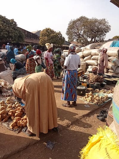 This media file depicts a bustling outdoor market scene in Doma, Nigeria, under bright daylight. The ground is unpaved and dusty, suggesting an open-air environment.
Numerous individuals, primarily women, are present, dressed in vibrant, patterned traditional African attire, including long skirts and head coverings. In the foreground, a person wearing a light brown, flowing garment is bent over a large mound of root vegetables, likely yams, arranged on the ground. To their right, another woman stands with her back to the viewer, wearing a white shirt and a striking blue skirt adorned with red and yellow patterns. Various other people are scattered throughout the mid-ground and background, some standing, others seemingly attending to stalls or interacting.
The market is filled with goods. Large stacks of off-white or light-colored sacks, presumably containing grains or other bulk produce, are piled high on the right side of the image, forming a backdrop. Several smaller displays of root vegetables are also visible on the ground. Black buckets and other containers are scattered near some of the produce. A bright yellow sack is partially visible in the bottom right corner, bearing some faint, indistinct text such as "NET W", "MADE", and what appears to be a product code or weight.
The strong shadows cast by people and objects indicate a sunny day, likely mid-morning or early afternoon. In the background, trees with sparse foliage and simple buildings with corrugated iron roofs line the perimeter of the market space. The scene captures the active commerce and daily life within an African market.