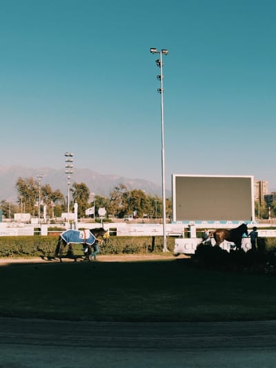 A horse track features two horses with handlers, one draped in a blue blanket with a large "3" on its side. A large blank screen sits behind the track fence with mountains in the background. A tall light pole with multiple lights stands to the right of the screen. The foreground shows the track surface and grass with shadows adding depth to the scene.