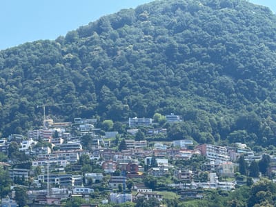 The image shows a hillside residential area in Lugano, Switzerland, with buildings nestled amongst dense green trees. The buildings are of various sizes and architectural styles, with many appearing to be apartment buildings or multi-story homes. Several cranes are visible, suggesting ongoing construction or renovation in the area. The sky is clear and blue. The hillside is covered in lush vegetation, with the buildings interspersed throughout. The overall impression is of a vibrant community situated in a natural, scenic environment.