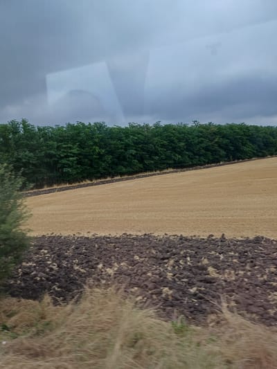 The image depicts a panoramic view of a rural landscape, likely taken from a moving vehicle, given the slight motion blur. The scene is dominated by agricultural fields and a dense line of trees.
In the foreground, a strip of dry, light-colored grass and vegetation is visible, with some darker, clumpy soil in front of it. Behind this, a large field of harvested crops, appearing as stubble or dry stalks, stretches across the frame. This field is a pale golden-brown color and shows clear signs of recent harvesting, with visible rows or patterns from agricultural machinery.
Further back, a distinct line of dark, ploughed soil forms a boundary between the harvested field and a forest. This ploughed section appears rough and uneven.
Beyond the ploughed soil, a dense, dark green line of trees forms a natural barrier, stretching horizontally across the mid-ground of the image. The trees are tall and leafy, suggesting a woodland or forest.
The sky above is overcast with heavy, grey clouds, indicating a possibly gloomy or rainy day. There are reflections on a glass surface in the upper portion of the image, suggesting the photograph was taken through a window, possibly of a vehicle or building. These reflections obscure a clear view of the sky and create indistinct shapes, including what appears to be a rectangular outline and a circular emblem.
The overall impression is of a rural, cultivated landscape under a muted, cloudy sky. There are no people or animals clearly visible in the image. The environment is one of agriculture and natural vegetation.
