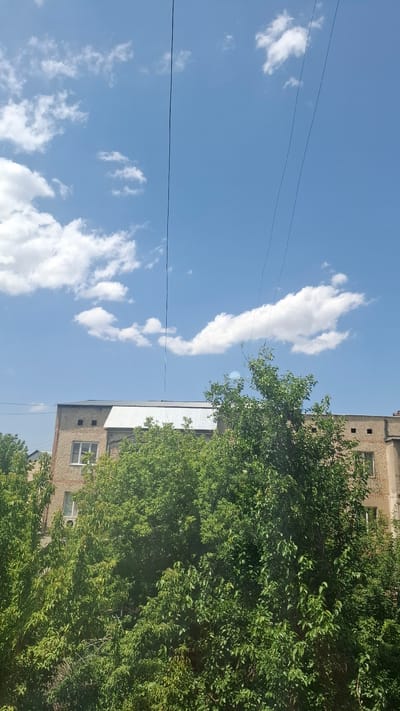 This is a high-angle, medium shot image taken on a sunny day in Shymkent, Kazakhstan, looking up at a multi-story building partially obscured by lush green trees. The building, constructed from beige bricks, features a light-colored, sloped metal roof. Several windows are visible on the building's facade, some with white frames and others with darker frames. A segment of a white metal awning or roof extension is present above some of the windows. Power lines are strung across the bright blue sky, which is dotted with fluffy white cumulus clouds. The foreground is dominated by the dense foliage of numerous trees, their green leaves creating a vibrant, layered effect that partially conceals the lower portion of the building. The overall scene suggests a residential or possibly an institutional building within a leafy urban environment.