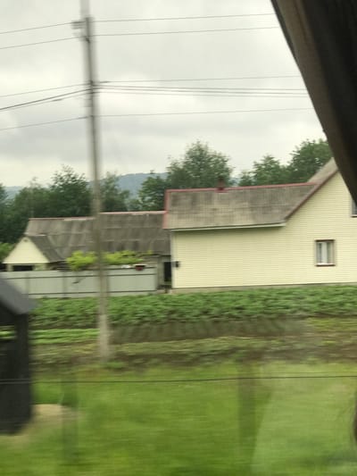 An outdoor scene in Krasnoilsk, Ukraine, captured from a moving perspective, displays motion blur in the foreground and on the utility pole. An overcast grey sky occupies the upper portion. A tall, slender utility pole, heavily blurred, stands slightly left of center, supporting multiple horizontal power lines. To the right, a two-story house with light yellow horizontal siding features a single window with a dark frame on its visible side. Its grey, weathered roof has reddish-brown gable and ridge trim. To the left, a smaller, lighter-colored building with a pitched roof is partially visible, adjacent to a longer, lower structure also with a grey roof, partially covered by green foliage. A light-colored fence runs horizontally in front of these left structures. Dense green trees form a line behind the houses, with faint outlines of distant hills or mountains visible above them. The lower third of the image shows a field of green plants with significant horizontal motion blur, suggesting movement. Dark, indistinct objects are visible along the far left and right edges, indicating a confined viewpoint.