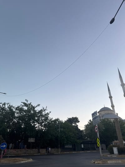 This is a vertical, eye-level, outdoor shot taken in Sarıyer, Turkey. The image captures a street scene with a mosque as the dominant background element. The mosque features a large dome and two tall, slender minarets. Trees, some with lush green foliage, flank the mosque and a street.
In the foreground, a street runs alongside a stone-lined embankment. There are traffic signs visible, including a blue circular sign with a white arrow pointing up, and a circular red sign with a vehicle and a diagonal line through it, indicating a prohibition. Another signpost has directional arrows pointing towards "Sahil" and "Göl" (likely Göl meaning lake or 'hill' in this context, given the location). The presence of a street, pavement, and traffic signs suggests an urban or semi-urban environment.
A thin, dark wire stretches across the sky from the left side of the frame towards the upper right, creating a distinct diagonal line against the pale sky. A street light is visible on the left, contributing to the urban setting. In the mid-ground, several people are visible standing near the embankment, their figures small against the larger elements of the scene.
The time of day appears to be late afternoon or early evening, with the sky a soft, hazy blue, suggesting it might be slightly overcast or that the sun is low on the horizon. The overall mood is calm and everyday, depicting a typical street view in a populated area. Some graffiti is faintly visible on the stone wall.