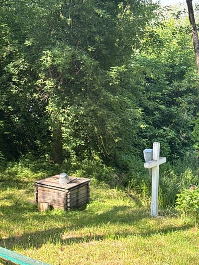 This media file depicts an outdoor scene bathed in sunlight, suggesting a clear day with a time of day likely in the late morning or early afternoon. The setting appears to be a rural or garden area in Luka, Ukraine, characterized by lush greenery and well-maintained grass.

The primary subjects in the frame are two man-made objects and the natural environment. To the right of the image, a weathered wooden structure, resembling a small wellhead or a decorative garden feature, stands prominently. It has a slatted roof and sides, with a metal bucket attached to its exterior. Further to the right and slightly behind the wooden structure, a simple, light-colored cross is visible, made of what appears to be metal or painted wood. It is mounted on a post and has a small, silver-colored plaque or marker attached to its base.

The background is dominated by dense, green foliage, likely trees and shrubs, which create a sense of depth and a natural backdrop. Sunlight filters through the leaves, creating dappled light and shadow effects on the ground and vegetation. The overall mood is peaceful and serene. There is no visible text in the image.