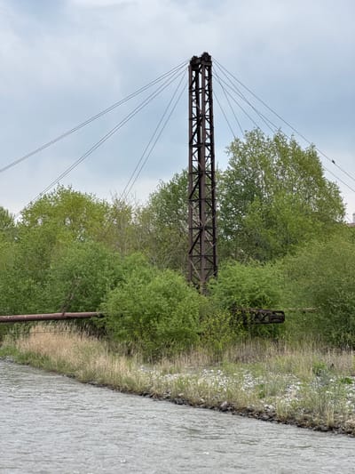 The image depicts an abandoned metal structure, possibly a crane or support tower, located alongside a body of water, potentially a river or canal. The structure is made of brown metal beams arranged in a lattice framework, supported by cables extending upwards. It is partially obscured by lush green foliage and trees. The right side of the image shows the edge of the water, with a rocky bank and tall grass. The sky is overcast. The location is possibly Assinovskaya, Russia, based on the prompt. No people or animals are visible in the frame. The overall scene suggests a forgotten or industrial site.
