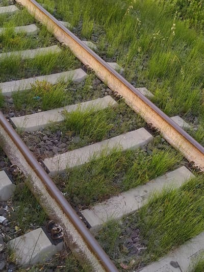 This image captures a section of an overgrown railway track in Ladispoli, Italy. Two parallel metal rails, exhibiting significant rust and a brown coloration, traverse the scene diagonally from the lower-left to the upper-right. These rails are secured to light grey, rectangular concrete sleepers via rusted metal fastenings. Dark grey, angular railway ballast is visible between and around the sleepers, though much of it is obscured by dense, bright green grass and scattered weeds that dominate the scene. The vegetation grows profusely between the sleepers and alongside the tracks, indicating a lack of regular maintenance or infrequent use. Visible litter includes small pieces of blue plastic and other debris, particularly between the sleepers in the lower-left and central areas. The scene is illuminated by natural light, casting subtle shadows and highlighting the texture of the rusty rails and the vibrant green of the grass. No individuals or active elements are present in the static scene.