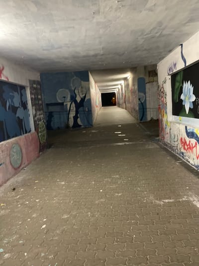 The image shows a long, narrow pedestrian underpass in Pilsen, Czechia. The walls of the underpass are covered in graffiti and murals, featuring various artistic styles and subjects. On the left side, a mural depicts stylized blue figures and palm trees. Further down, a mural of dandelions and a dark silhouette of a creature is visible. The right wall features a large painting of a white lotus flower on a black background, surrounded by graffiti. The floor of the underpass is paved with interlocking concrete blocks, and scattered debris is present. Several circular white markings are on the floor, potentially indicating some sort of light or marker system. The underpass is dimly lit, with artificial lights visible in the distance, creating a sense of depth and leading towards a dark opening. The overall impression is one of an urban underpass that has been transformed into an open-air gallery through street art.