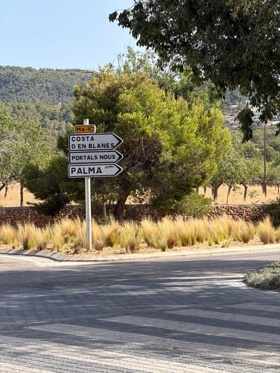 A directional signpost stands at an intersection in Calvià, Spain. The signpost has a yellow plaque at the top with "Ma-1C" in black lettering. Below this are three white directional signs with black lettering. The top sign reads "COSTA D'EN BLANES" pointing to the right. The middle sign reads "PORTALS NOUS" pointing to the right. The bottom sign reads "PALMA" pointing to the right, with "ARTMUNDO" in smaller lettering below it. The signpost is in front of a large, green pine tree and surrounded by dry, tall grass. In the background, there are more trees and a stone wall. The foreground shows a paved road with light and shadow patterns cast by trees.