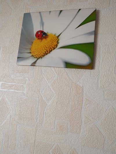 The image shows a framed print of a white daisy with two ladybugs on its yellow center. The print is hanging on a textured, light-colored wall that appears to be made of wallpaper. The wall has an irregular pattern, resembling stonework. The photograph is taken from a slightly upward angle.