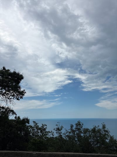 The image captures a panoramic view of the Black Sea from a vantage point in Malyi Mayak, Ukraine. The foreground is dominated by the dark silhouettes of dense foliage and trees, suggesting a natural landscape. A stone wall runs along the bottom of the frame, hinting at a man-made structure or boundary.

Above the trees, the vast expanse of the Black Sea stretches out to the horizon, its surface a calm, deep blue. The sky above is a dynamic canvas of clouds. Large, textured grey clouds are interspersed with patches of bright blue sky and lighter, wispy white clouds. The overall impression is one of natural beauty, with the sea and sky creating a dramatic backdrop. No people or animals are visible in the scene. The lighting suggests it is daytime, possibly late morning or early afternoon, with diffused light due to the cloud cover.