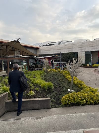The scene depicts an outdoor concourse or plaza at El Dorado International Airport in Bogota, Colombia, under an overcast sky. In the foreground, a male individual with short grey hair, wearing a dark blazer, dark jeans, and black sneakers, carries a black backpack on his left shoulder as he steps onto a low, grey concrete retaining wall. The area immediately behind him consists of tiered garden beds containing bright green, grass-like plants, darker green ground cover, and yellow-green shrubbery. Two silver-colored, stylized artificial trees are embedded in these planted areas. To the left, in the midground, an outdoor dining establishment operates under a large, beige tent-like canopy with glass enclosures. Visible signs identify "O'Brien's Irish Pub" and "Juan Valdez Café," with several patrons seated at tables. The background is dominated by the modern, multi-story El Dorado airport terminal building, characterized by its light-colored facade and distinctive, curved, wave-like roof structures.