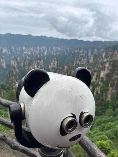 A close-up shot features a panda-themed coin-operated binocular viewer perched on a viewing platform. The binocular is white with black detailing resembling panda features: two black circles act as "eyes," and circular, raised, black features imitate ears. The binocular's support structure is black. The binocular is likely a tourist attraction designed to enhance the viewing experience of the landscape behind it.
The background reveals a mountainous landscape shrouded in mist and greenery, suggestive of a high-altitude location. The geological formations are textured and appear to be composed of various types of rock.
Based on the information provided, this scene is likely in the Wulingyuan Scenic Area, known for its unique sandstone karst formations in Hunan Province, China.