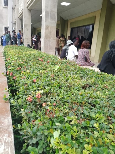 The image displays an outdoor scene in Ota, Nigeria, characterized by a structured environment with vegetation and architecture, populated by multiple individuals. In the foreground, a dense, manicured hedge with green leaves and numerous small red-orange flowers extends horizontally, bordered on its left edge by a weathered concrete curb.
In the background and midground, two distinct building sections are visible. To the far left, a multi-story building with a light gray, textured facade and several windows is partially seen. Adjacent to this structure, a group of approximately 10-15 individuals are standing, largely facing away from the viewer or towards the left, with varied casual attire.
To the right, a different building features a covered walkway supported by three prominent, square, light-colored pillars. The building's facade behind the pillars is a pale green or beige. Dark-tinted windows on this building reflect text, appearing to include "Government Li". Within this covered walkway, several individuals are present. In the midground, four individuals are seated on a low ledge, facing towards the right side of the frame. From left to right, these include a person wearing a black and white striped shirt and a patterned cap, a male in a white t-shirt and light-colored trousers, a person with reddish-brown hair in a patterned dress, and an individual with dark, braided hair in a dark top, seen from behind. Other individuals are visible standing further back under the cover of the walkway. The scene portrays a daytime gathering or waiting area.