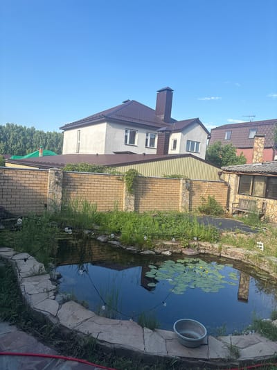 The image depicts a backyard scene in a suburban or rural area, likely in Ореховка, Russia, given the context. In the foreground, there is a small, irregularly shaped pond with a stone border. Lily pads and a few yellow water lilies float on the dark surface of the water. Several small, clear glass light bulbs strung on a wire hang above the pond. Surrounding the pond are various green plants and grasses, with some taller reeds growing directly in the water. A metal basin or bowl rests on the edge of the pond.
Behind the pond, a light brown brick wall with stone pillars separates the yard from the neighboring properties. Beyond the wall, several houses are visible. The most prominent house is a two-story structure with a white facade, a brown tiled roof, and a tall, dark brown chimney. Another house to the right has a brown tiled roof and a stone chimney. Further in the background, a dense line of green trees forms a natural boundary. The sky above is a clear, bright blue with a few wispy clouds. The overall impression is of a residential area on a sunny day.