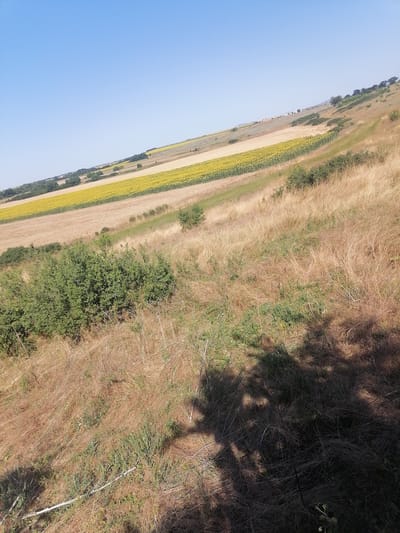 A landscape photo taken on a sunny day shows rolling hills covered in dry grass, green bushes, and fields of sunflowers. The sky is clear and blue. In the distance, there are patches of harvested fields, trees, and a few buildings. The foreground is dominated by a slope covered in dry, yellowish-brown grass and some green vegetation, with the shadow of a tree cast across it. A white pole or pipe is visible running diagonally across the lower left portion of the image. The scene appears to be in a rural area near Zemlen, Bulgaria.