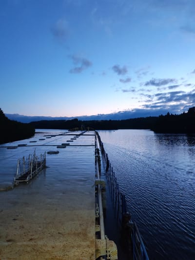 The image depicts a twilight scene on a large, flat-decked vessel at the Depo, Russia. The sky is a deep blue, transitioning to lighter shades near the horizon, with scattered clouds. The vessel's deck is wet and reflects the dim light, with a series of dark, oblong objects spaced evenly across its surface. A metal walkway with railings and a safety net leads from the deck towards the water. To the right of the vessel, a body of water is visible, with ripples on its surface. Dark, silhouetted trees line the opposite shore, forming a dense forest. The overall atmosphere is quiet and serene, suggesting the early morning or late evening.