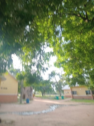 The image depicts an outdoor scene under a canopy of green leaves, suggesting a location with ample vegetation. In the foreground, a sandy path with some form of textured edging is visible. Two yellow buildings with brown trim and windows are present. The building on the left has a darker brown base and what appears to be text or markings on its wall. The building on the right has multiple windows and a white roof. Between the buildings, a concrete structure with graffiti and a blue barrel are situated. In the background, trees and a fence can be seen, and a person in an orange garment is walking away from the camera. The overall impression is that of an educational or administrative complex in a warm climate. The motion blur indicates movement during the capture of the image.