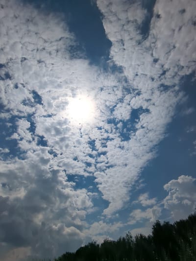 The image shows a sky with scattered white and grey clouds against a blue sky. The sun is visible and partially obscured by clouds. In the foreground, the tops of dark green trees are visible, suggesting a natural or park-like setting. There is no indication of the city of Tyumen, Russia, or any specific urban features within the image. The scene is peaceful and natural, dominated by the sky and foliage. There are no people or any actions depicted.