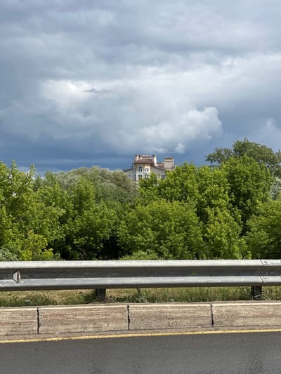 A cloudy, overcast sky looms over a dense line of lush green trees. Partially visible above the trees is a multi-story building with a light-colored facade, adorned with architectural details and several chimneys on its roof. In the foreground, a weathered metal guardrail separates the viewer from a cracked concrete barrier and an asphalt road marked with a yellow line. The scene appears to be a view from a roadside, possibly along a highway or main road on the outskirts of the city of Vladimir, Russia, given the presence of urban architecture peeking through the natural landscape. There are no people or animals visible in the image.