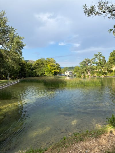 The image depicts a serene natural scene by a body of water, likely a river or lake, in Ćusine, Bosnia and Herzegovina. The perspective is tilted, giving a dynamic view of the landscape. On the left side, a dense forest with lush green trees dominates the scene, with branches extending into the sky. The sky itself is a mix of light blue with scattered white clouds.
A prominent feature is the clear, shallow water which reveals the rocky bottom beneath. Gentle ripples on the water's surface suggest a calm day. Along the bank, tall, thin reeds or grasses grow in abundance, creating a natural border between the water and the land. Further back, a light-colored building with a multi-pitched roof is visible amidst more trees, suggesting a small settlement or park area. A wooden walkway or pier runs along the edge of the water, and some lampposts are visible on the grassy area beyond it. The right side of the image shows the bank with dry grass and scattered pebbles, leading up to the water's edge.
The lighting suggests it is daytime, likely late morning or early afternoon, given the brightness and the angle of the sunlight reflecting on the water. The overall atmosphere is peaceful and tranquil, evoking a sense of calm and natural beauty. There is no visible text in the image.